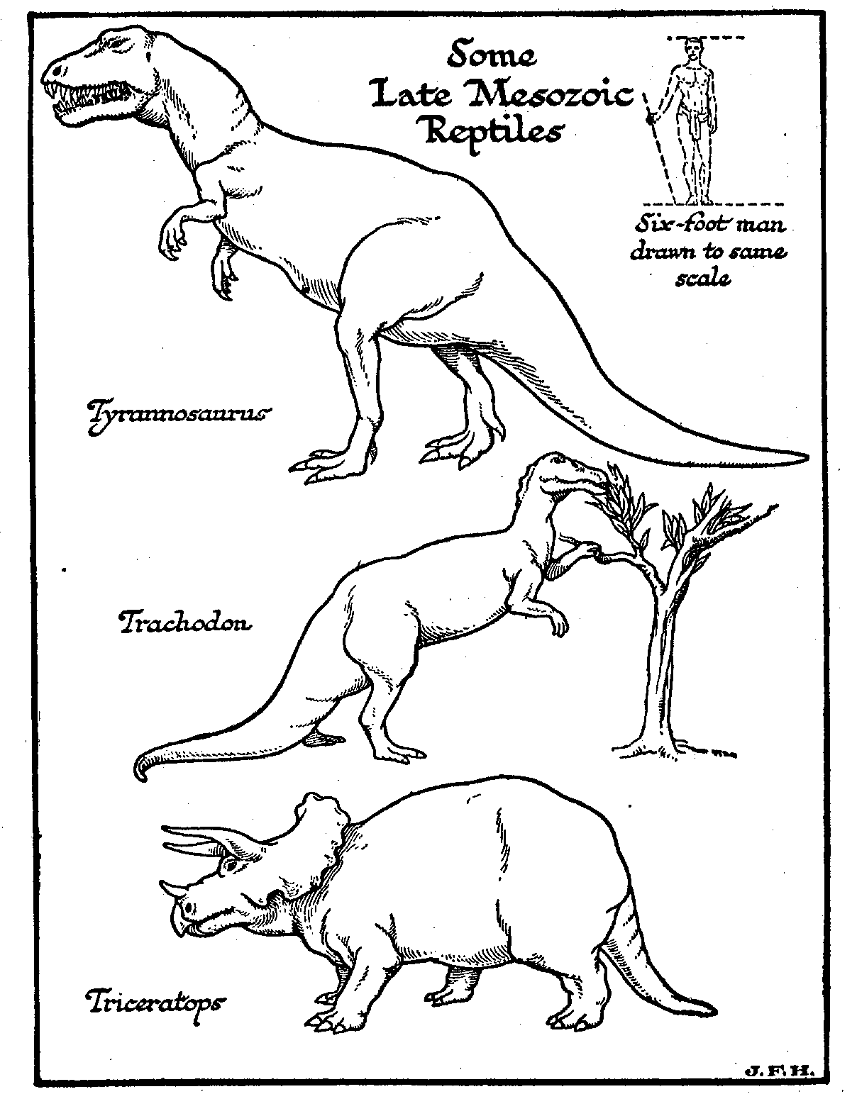 Figure 30