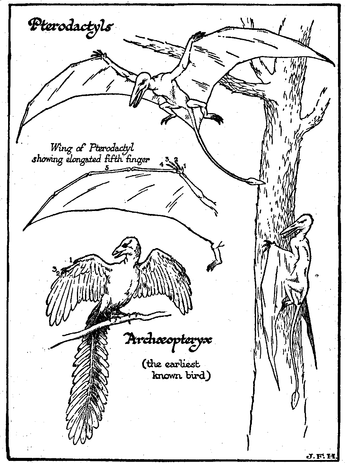 Figure 31