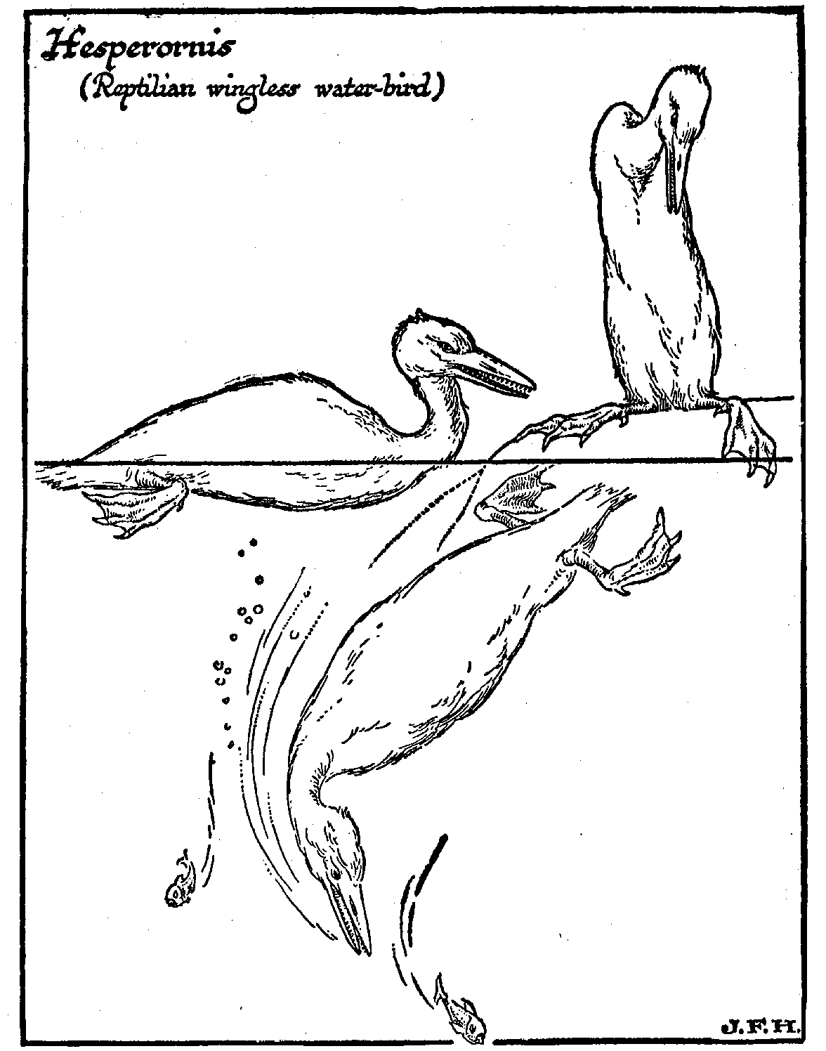Figure 35
