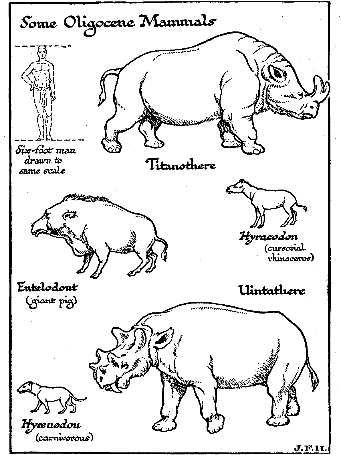 Figure 39